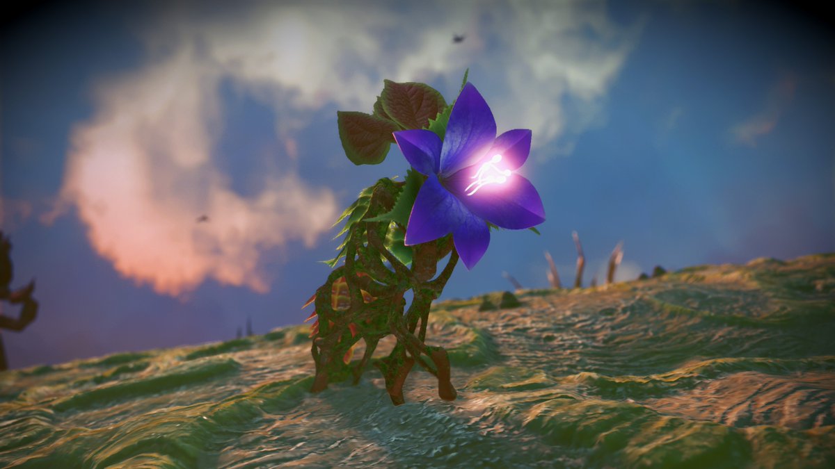 Melt van Aarde tweet media