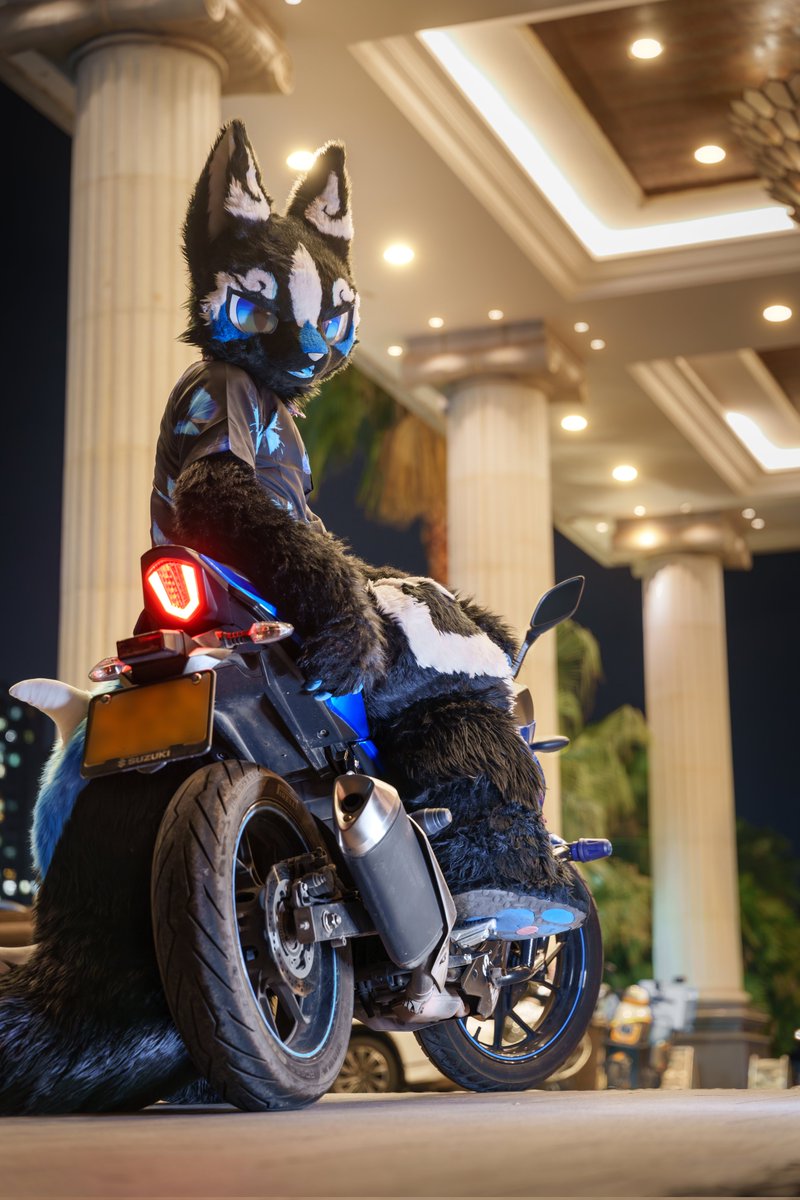 ＃FursuitFriday
------------------ 
效车/2
------------------
📸：<a href="/TarsPCom/">: ) -电脑</a>
🏍︎：木杉
🎨：<a href="/_Roborab/">Robo</a>
🌙：<a href="/MROSEclipse/">星效-Vulptex</a>
P2为无水印版
P3为兔头老师修复版