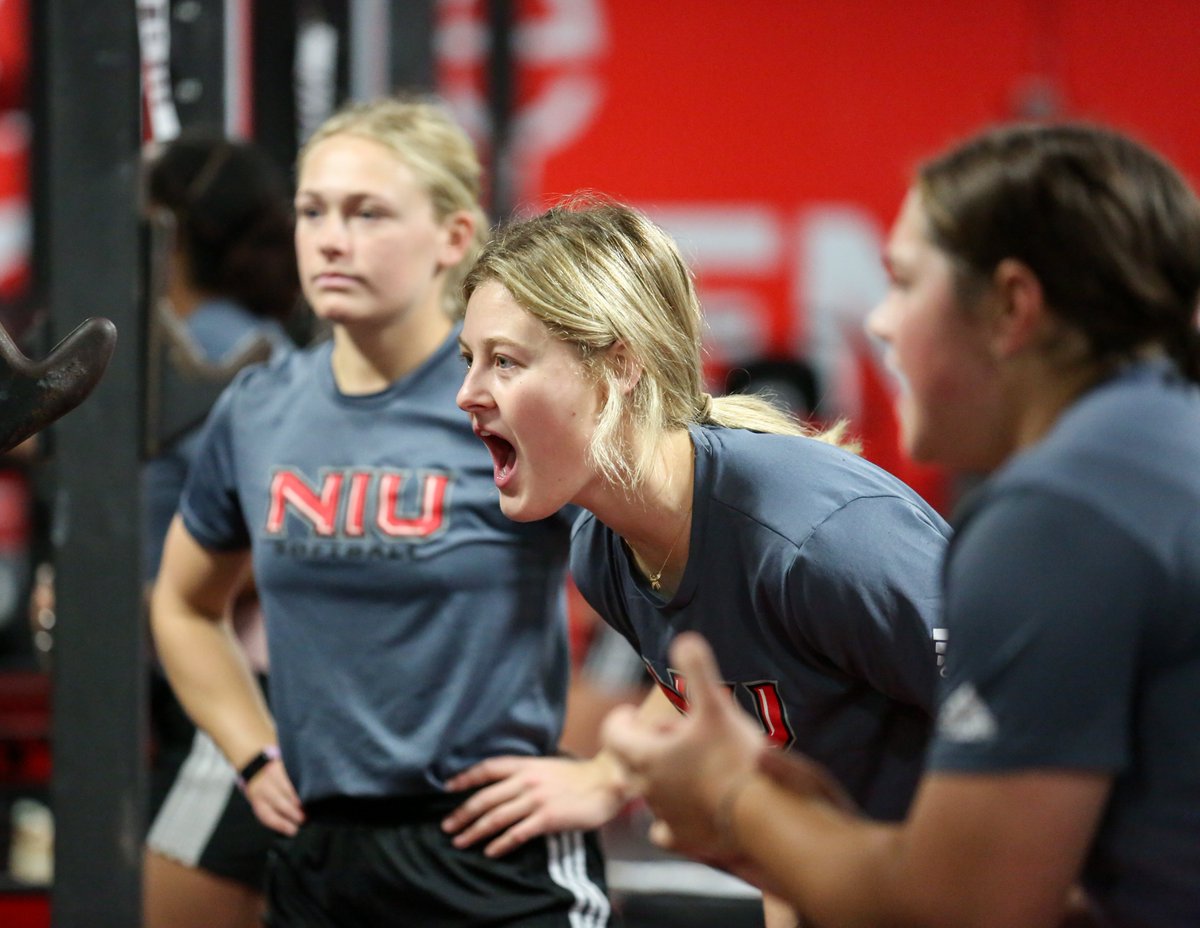 NIU Softball tweet media
