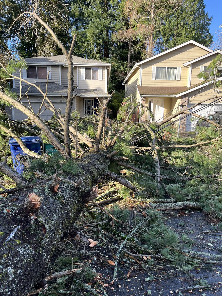 Gary Peltz (@garynpeltz) on Twitter photo Absolute carnage at Matthews Beach Park
We counted at least 10 mature trees uprooted and destroyed
#WAwx
#bombcyclone2024
<a href="/NWSSeattle/">NWS Seattle</a>
<a href="/ShannonODKOMO/">Shannon O'Donnell</a>
<a href="/KSeattleWeather/">Seattle Weather Blog</a> Absolute carnage at Matthews Beach Park
We counted at least 10 mature trees uprooted and destroyed
#WAwx
#bombcyclone2024
<a href="/NWSSeattle/">NWS Seattle</a>
<a href="/ShannonODKOMO/">Shannon O'Donnell</a>
<a href="/KSeattleWeather/">Seattle Weather Blog</a>