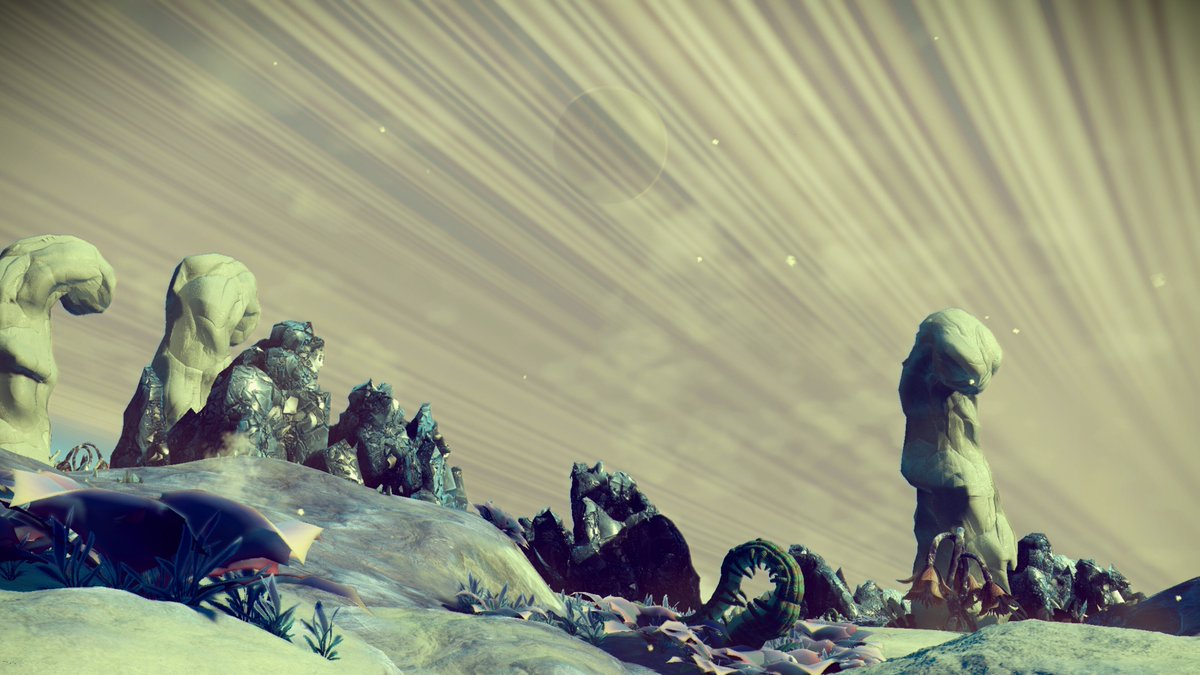 Melt van Aarde tweet media