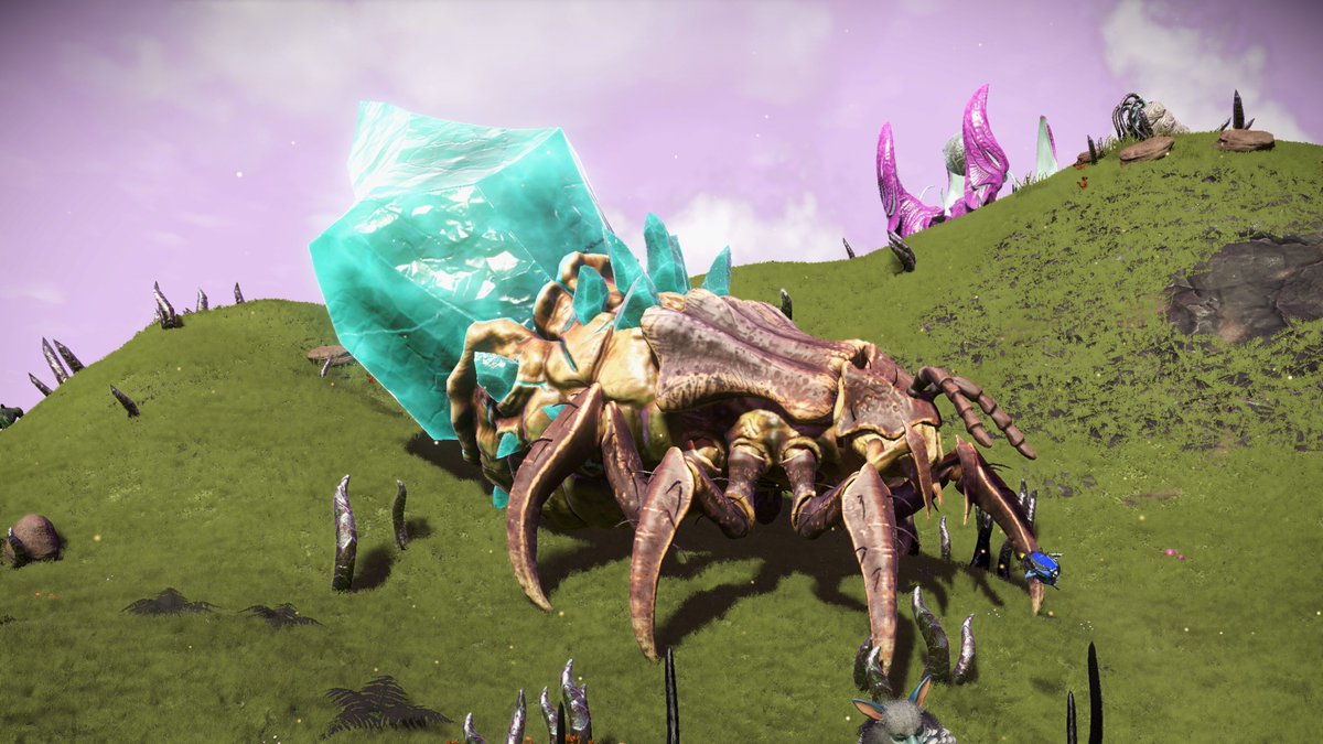 Melt van Aarde tweet media