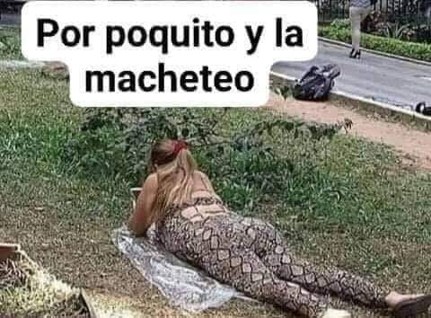Pensé que era una terciopelo.