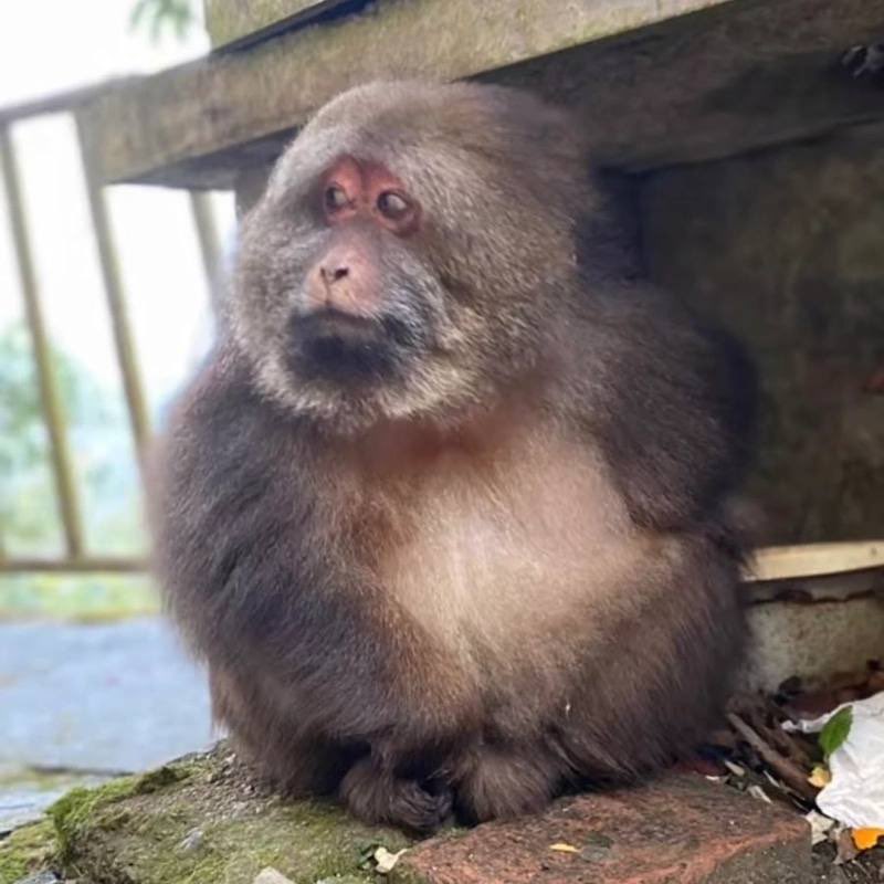 <a href="/0xSweep/">Sweep</a> <a href="/jeremybtc/"></a> OG $XING !!! 

#community_over_cabal

FDrrFJ4wbrKmiwj3eXWdbJGxHNBkpFhjwDQGqigJtTNw