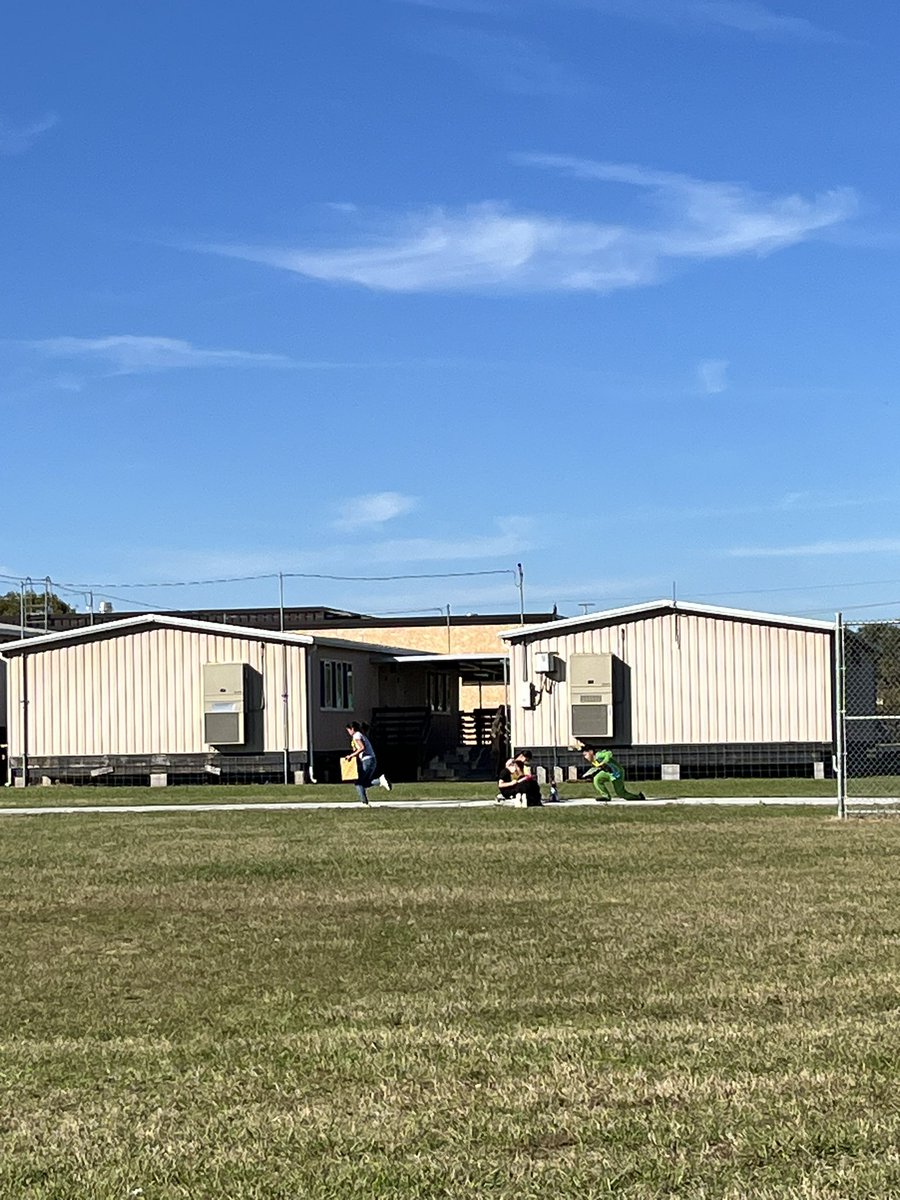 Suzanne Flores tweet media