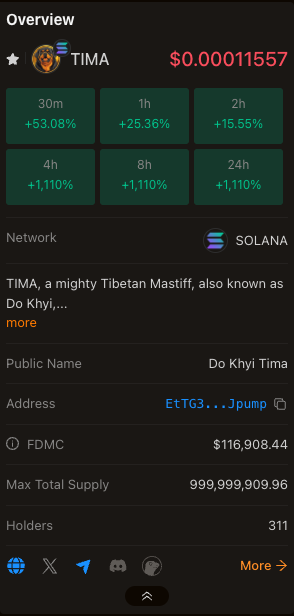 dokhyitima's tweet photo. $TIMA is off to a good start! https://t.co/GD5iEg85ql
