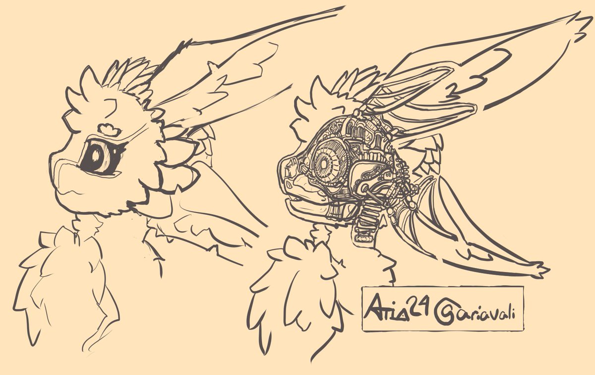 Tried to accurately represent internal modifications of my avali