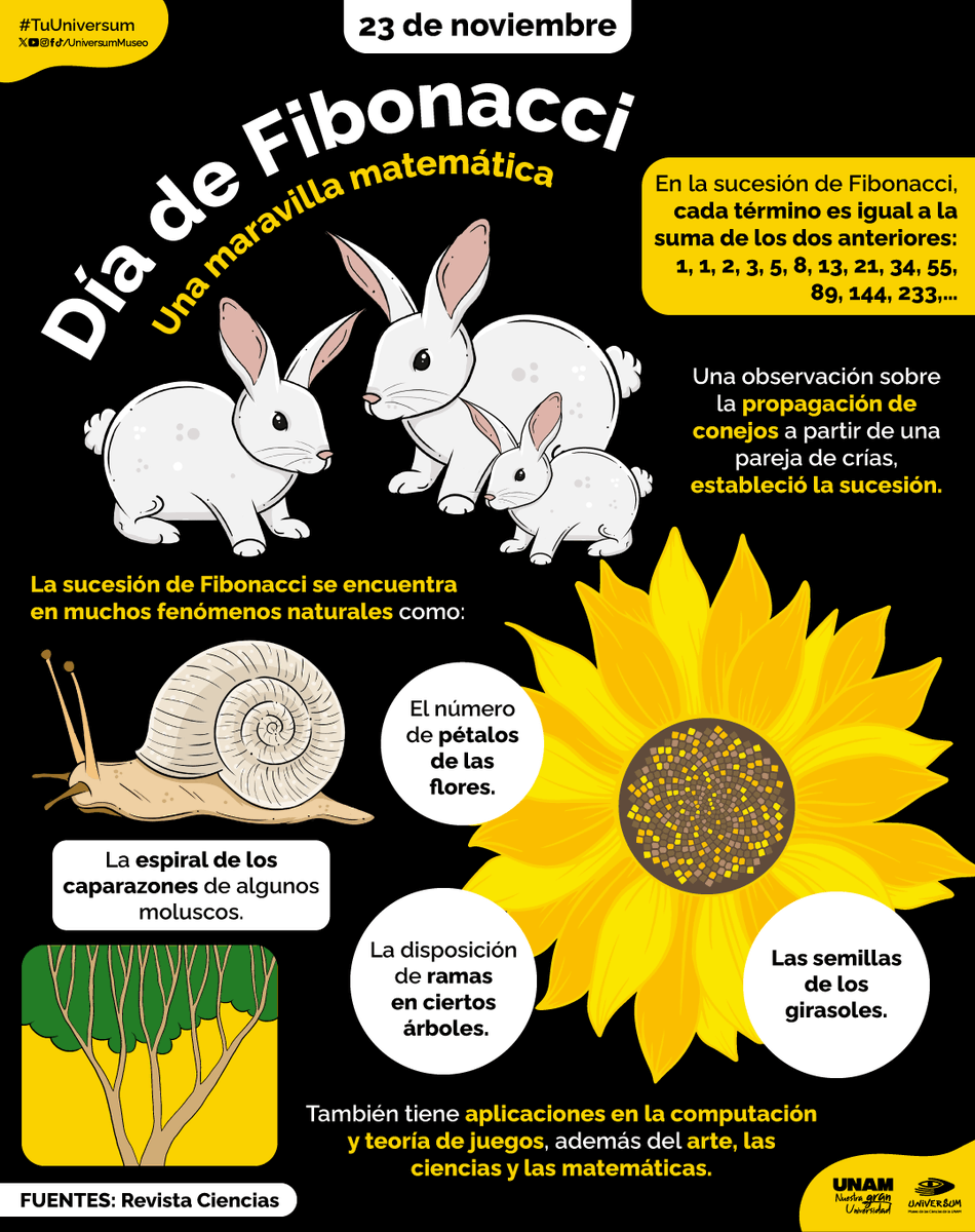 UniversumMuseo's tweet photo. ¡Hablemos de matemáticas! 🧮

#TuUniversum https://t.co/lIT8v6XzxY