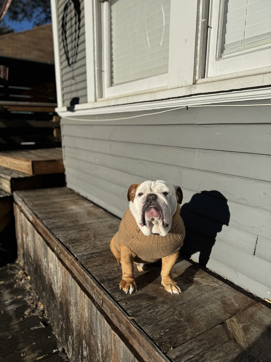 Blade Craft tweet media