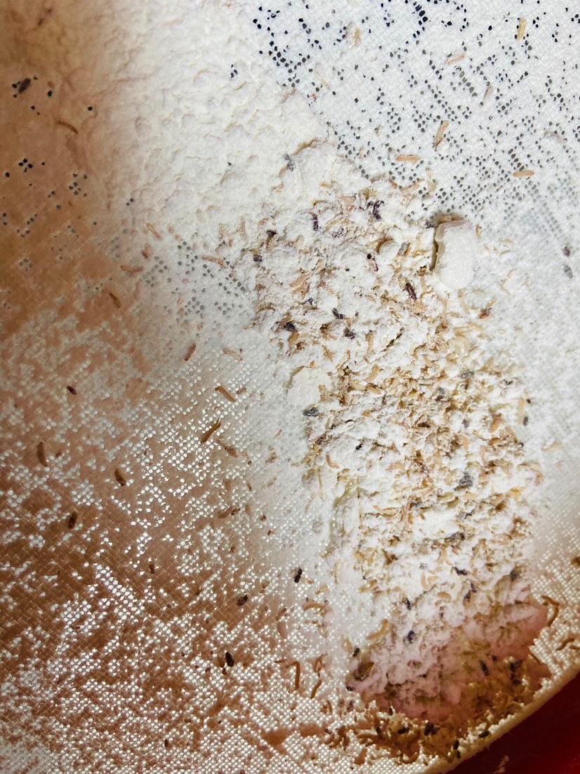 valkwise's tweet photo. Muhammad sent me these today.   A bag of flour contaminated with insects costs around $200.

He has still not raised even 1k — the cost of a single dose of medication his mother needs to treat her Crohn’s disease. 

https://t.co/zfj6P8qa4N https://t.co/jrOW6plJmv