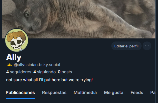 Allyssinian's tweet photo. hi y'all, you know the drill https://t.co/WUXHmBbqMu