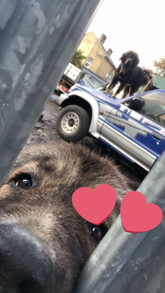 chazgunss's tweet photo. Bonnie&amp;Clyde https://t.co/L0kxgeD5aX