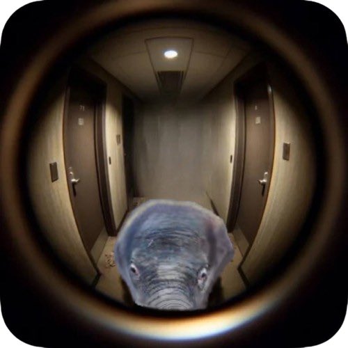 Kirby the Elephant | Fan Page tweet media
