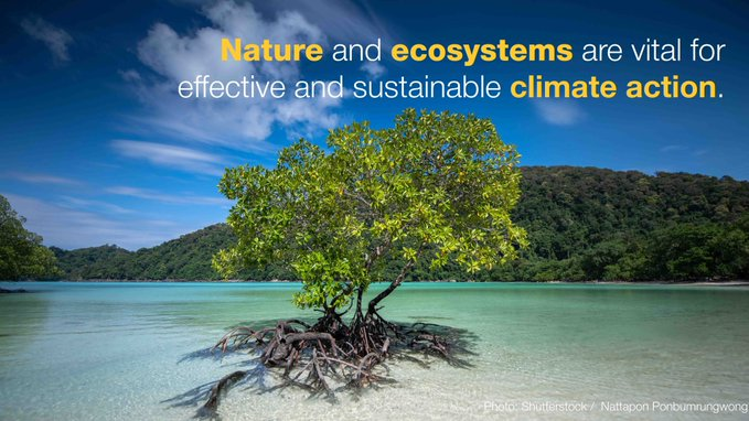 Nature and ecosystems are vital for effective and sustainable #ClimateAction.

Countries should set ambitious national targets for #NaturebasedSolutions and ecosystem-based approaches to benefit both climate and biodiversity goals.

via <a href="/IUCN/">IUCN</a>