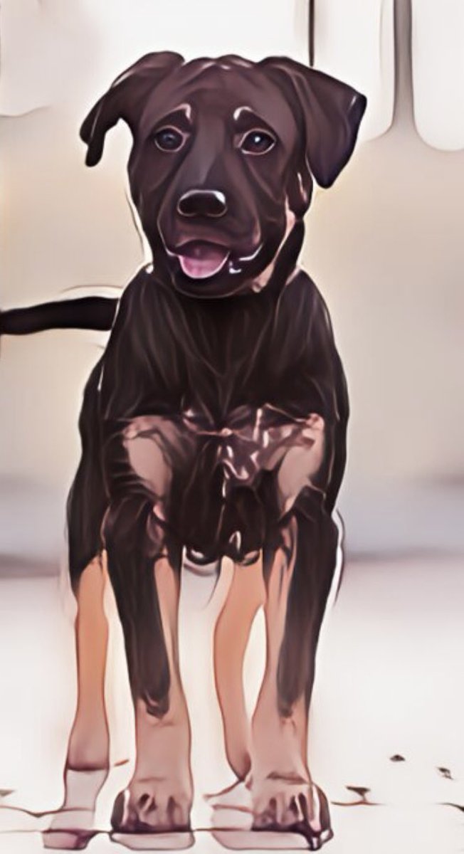 <a href="/elonmusk/">Elon Musk</a> Elon bro, just a good boy!

F5UgXAZkNfYPXaT3gXGVDQqNA4P4t9HWLxV7oGbbpump