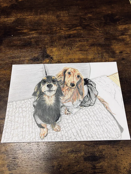 進捗です周りを塗れば完成ですサボらず塗っていきます!#art #イラスト#色鉛筆画 
