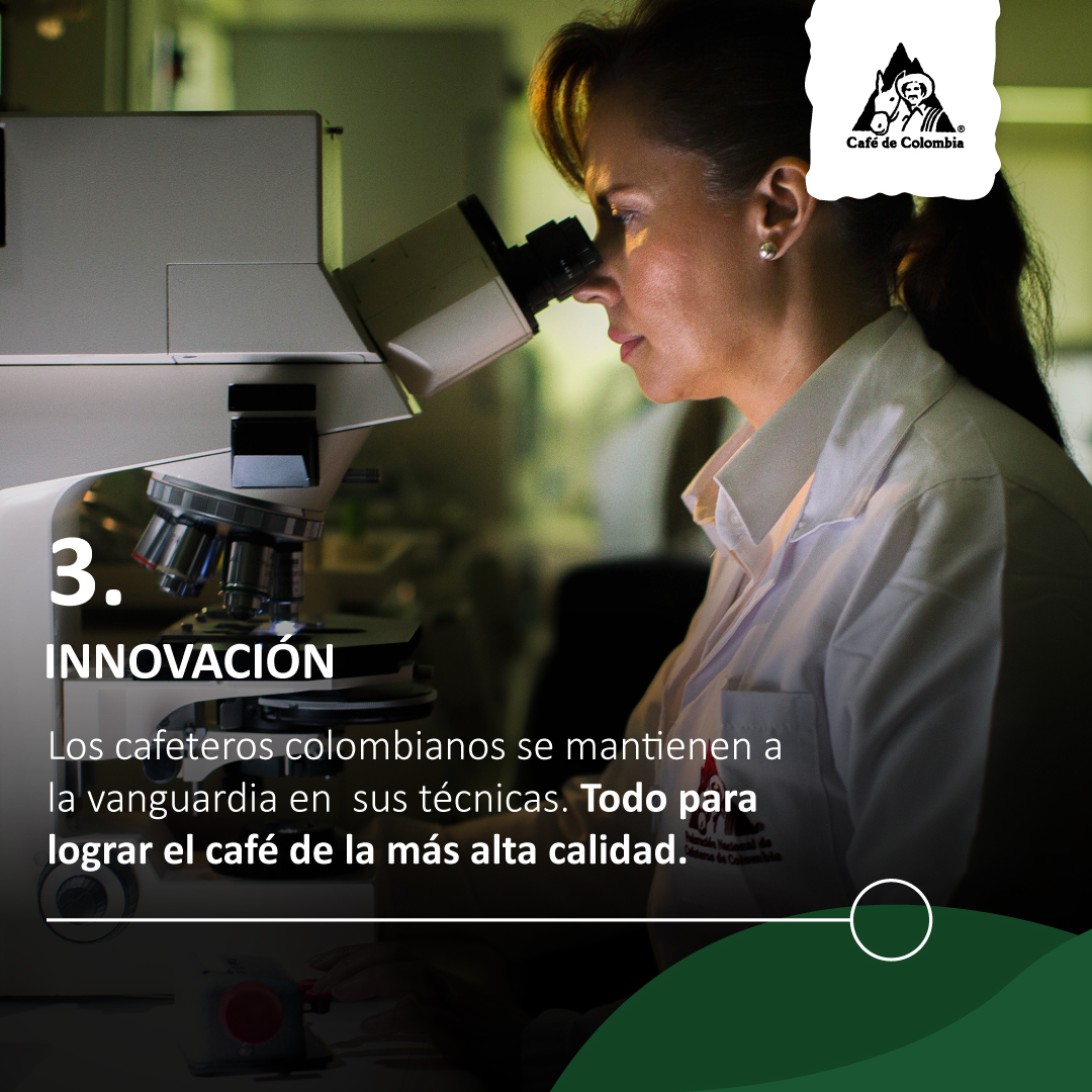 A menudo escuchamos que el café colombiano es el mejor del mundo, pero ¿Sabes realmente a qué se debe esta frase? Aquí te contamos con más detalle. ☕  Descubre más en realacademiadelcafe.com

¿Cuántos amantes del café 100% colombiano? 🙋🏻🇨🇴
