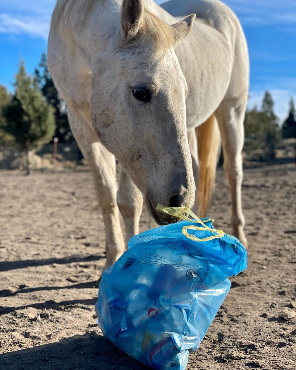 Oregon BottleDrop tweet media