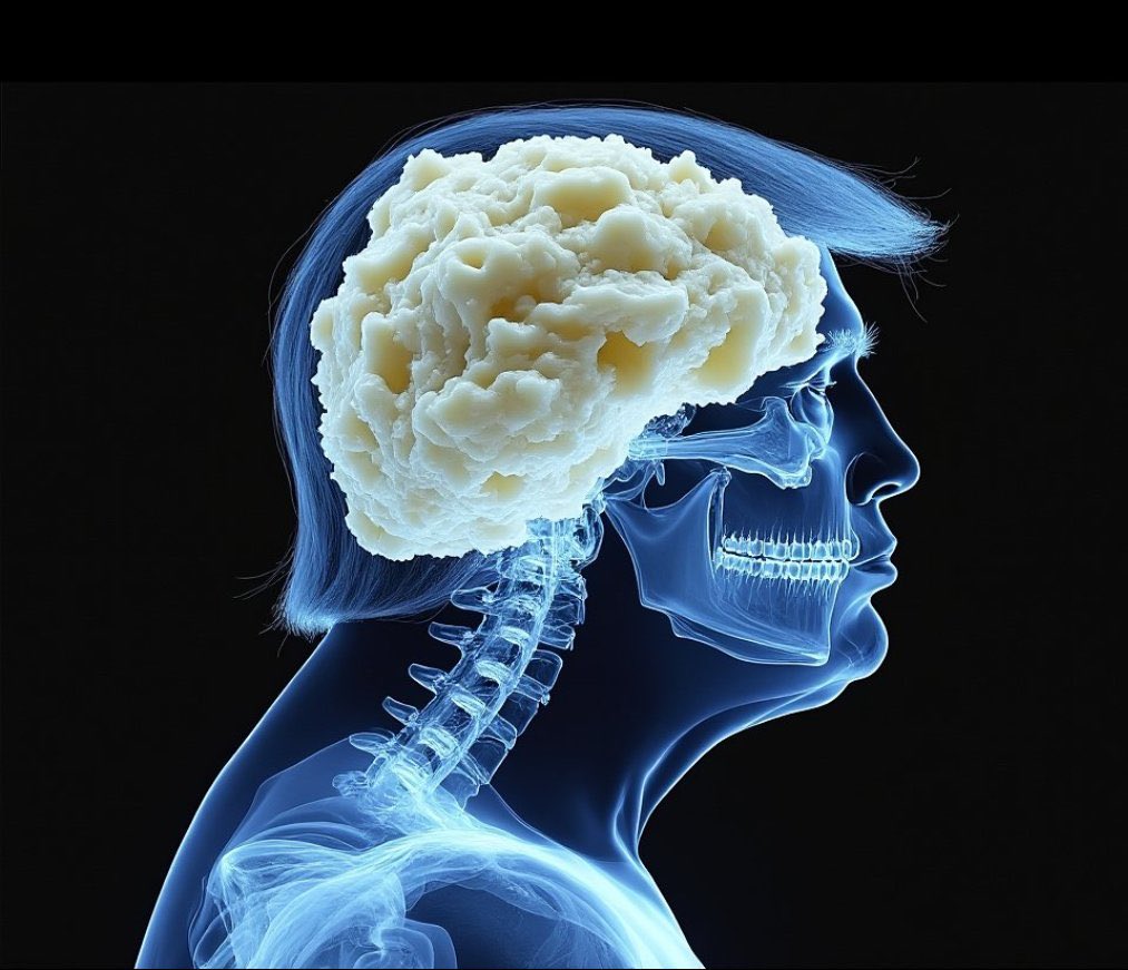 <a href="/maddenifico/">Bill Madden</a> Taterbrains.