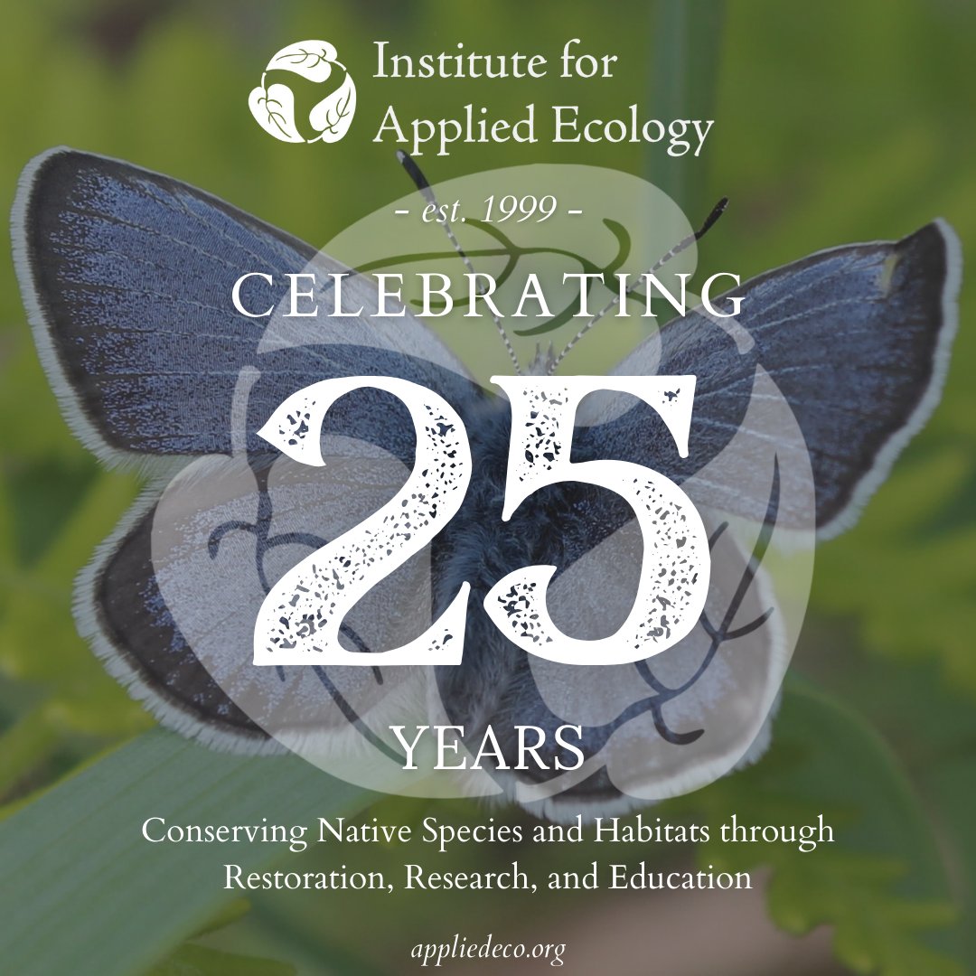 🎉🎂 Happy 25th Birthday to IAE! 🎂🎉

This giving season, please consider making a donation so we can continue our important work of restoring native species and saving ecosystems. Here's to another 25 years! 🎉🎉🎉