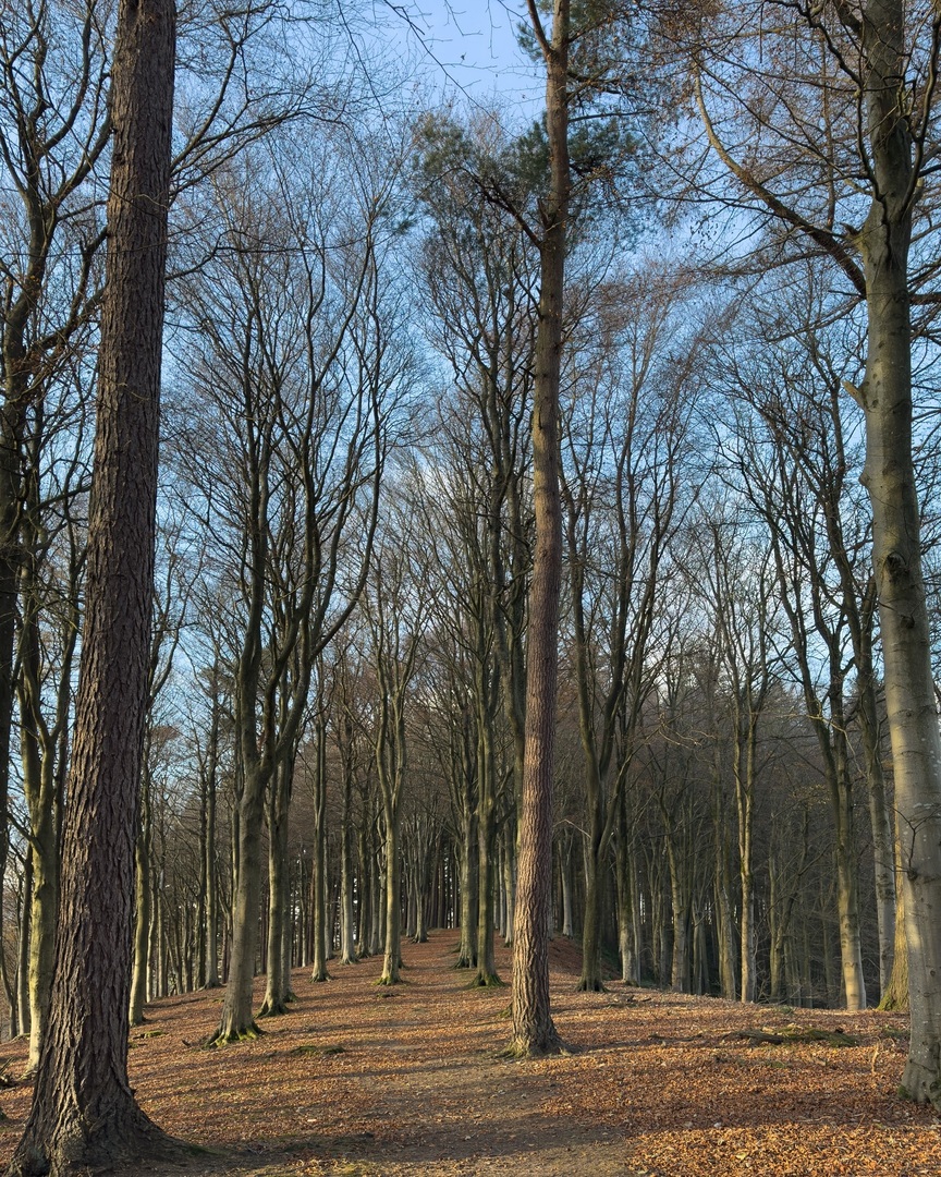 Steve Messam tweet media