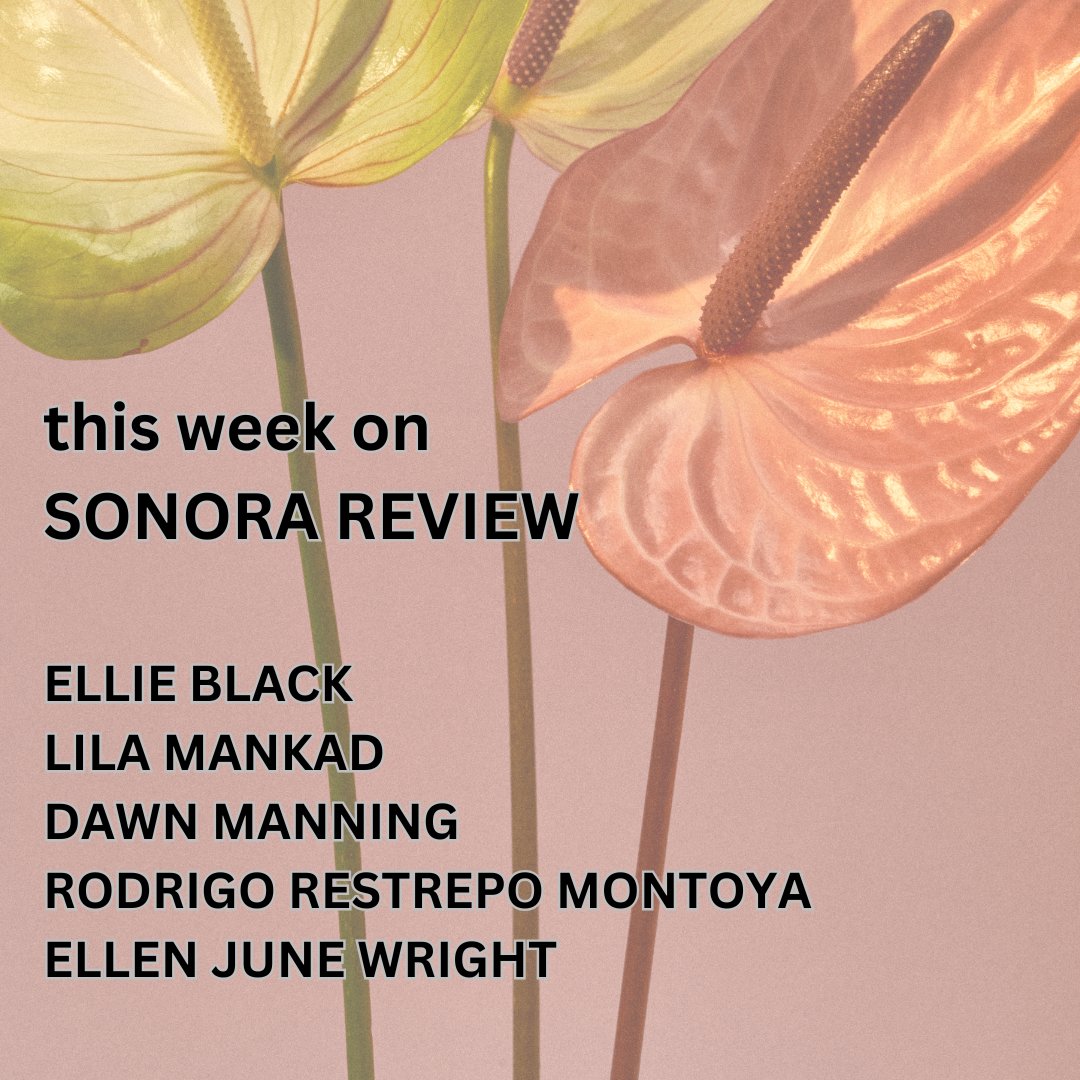 Sonora Review tweet media