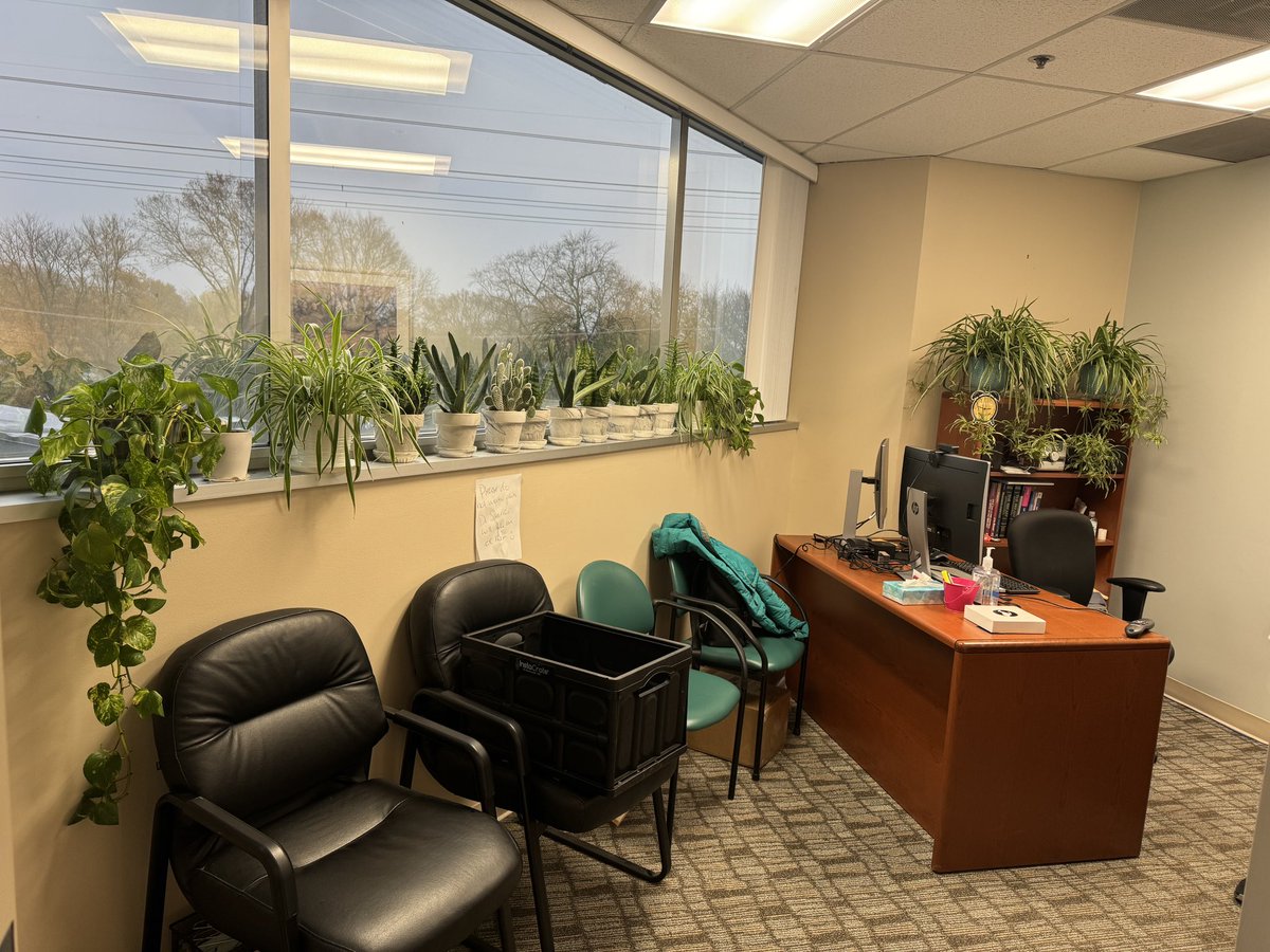 When you run out of room in your greenhouse and need to bring some plants to the office… 😂😂😂 

#MedTwitter #plants #ilooklikeasurgeon
