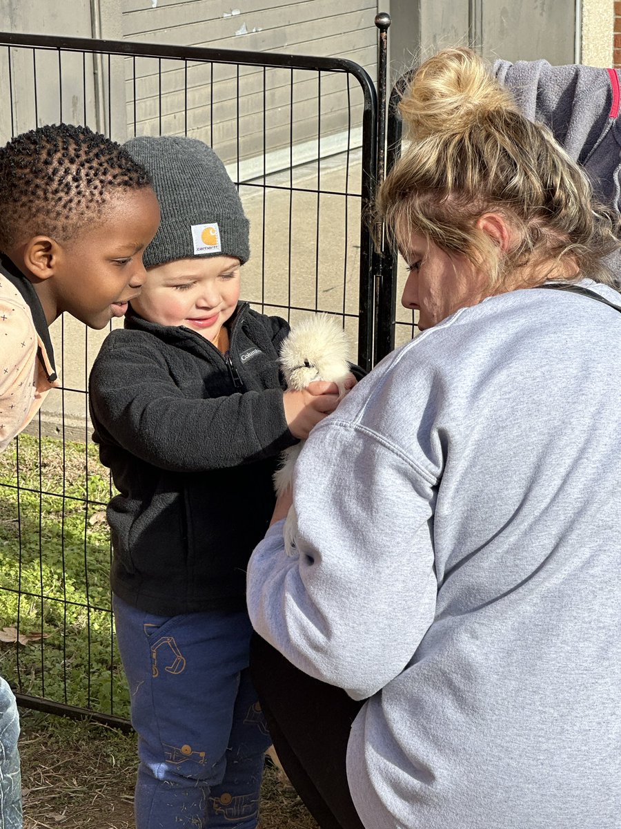 Molly Struzzo (@mstruzzo) on Twitter photo Kindergarten finished their farm unit so we brought the farm to them! <a href="/kckschools/">Kansas City, Kansas Public Schools</a> <a href="/drjoshuasnyder/">Dr. Joshua Snyder</a> <a href="/KCKDiplomaPlus/">Diploma +</a> Kindergarten finished their farm unit so we brought the farm to them! <a href="/kckschools/">Kansas City, Kansas Public Schools</a> <a href="/drjoshuasnyder/">Dr. Joshua Snyder</a> <a href="/KCKDiplomaPlus/">Diploma +</a>