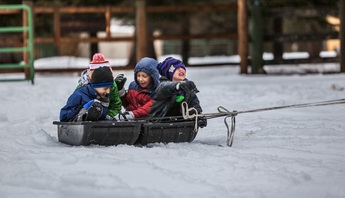 We’re approaching the most wonderful time of year! And with The Wellness Company, it can also be clean, healthy, and bright. Read about these great Melaleuca products for the holidays. melaleucajournal.com/clean-bright-a…