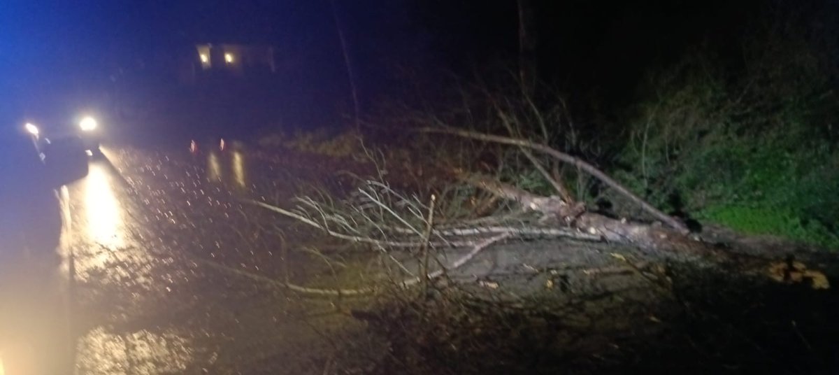 AVPC de Cardedeu tweet media