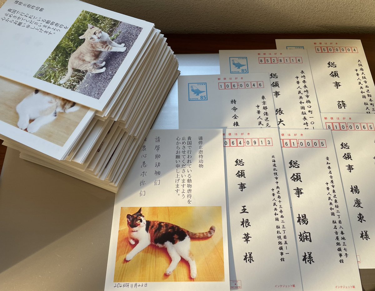 中国猫の拷問ビジネスを知った５月から
虐待をやめさせて下さいと書いた
ハガキを毎日送る。

ポストする事も抗議活動になると聞いて
８月からは投稿も始めたら
毎日たくさんの方からいいねをいただく。

ハガキは動物虐待をやめさせたいという
たくさんの方の想いと共に投函する。

12月も準備完了。