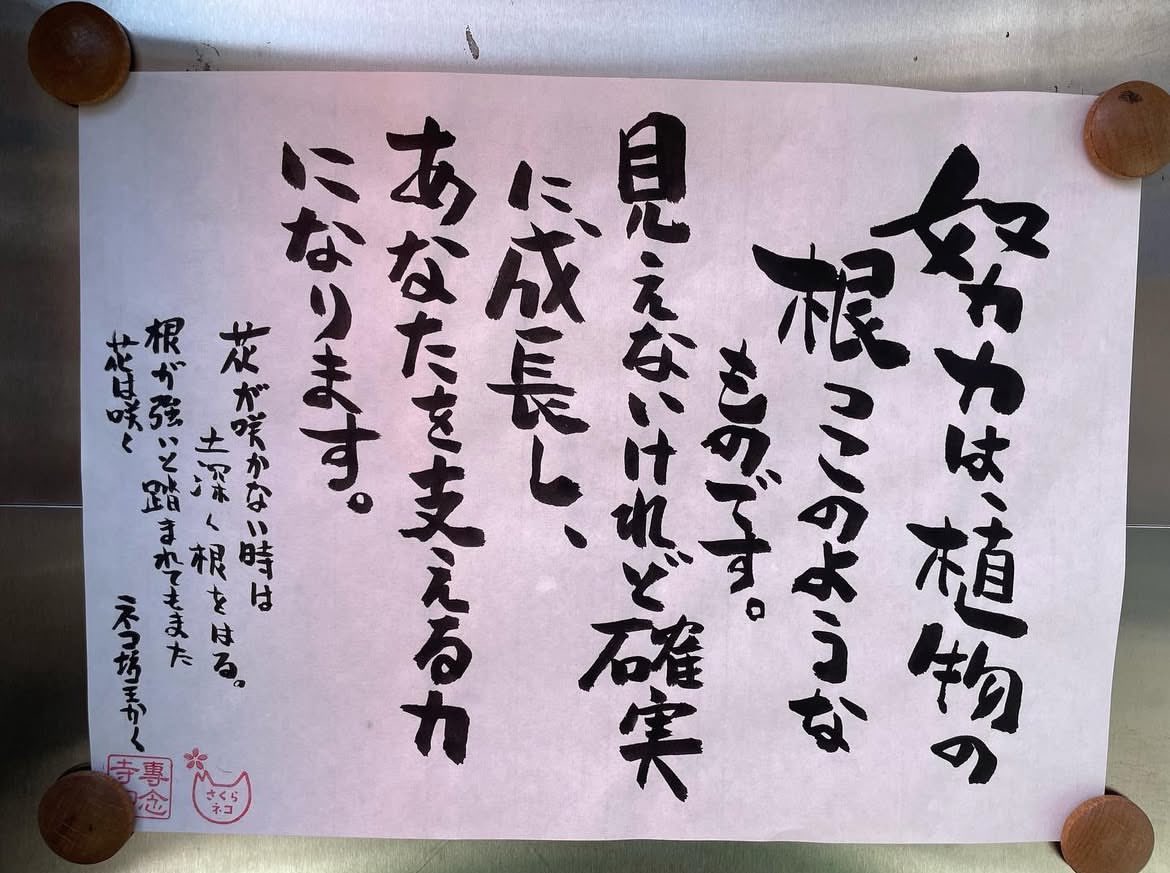 今日のお寺の掲示板