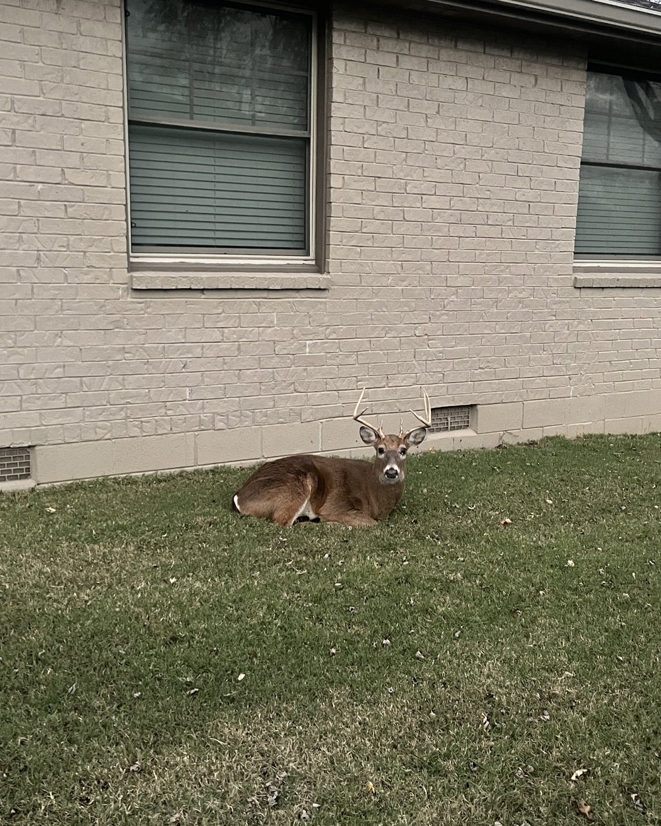 stephanie tweet media