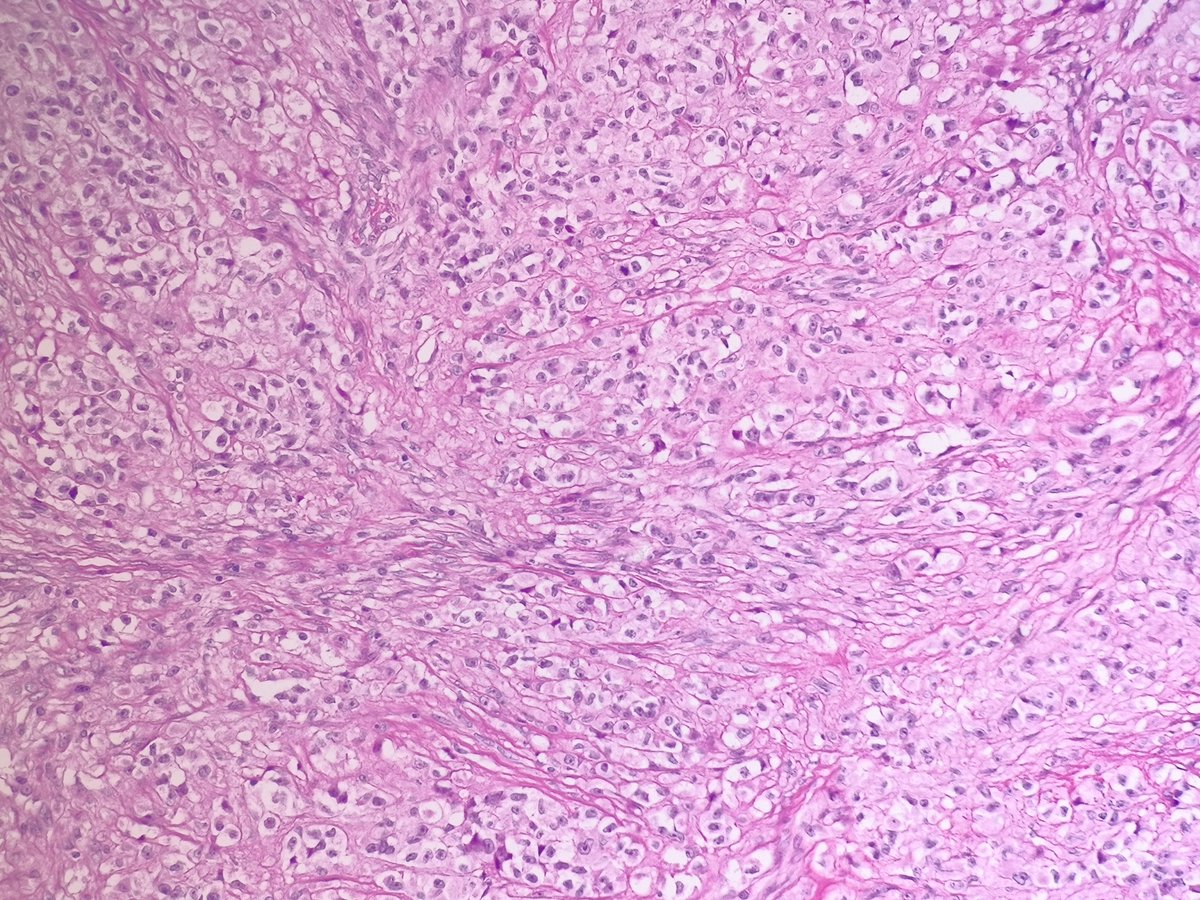 Miruna Popescu, MD tweet media