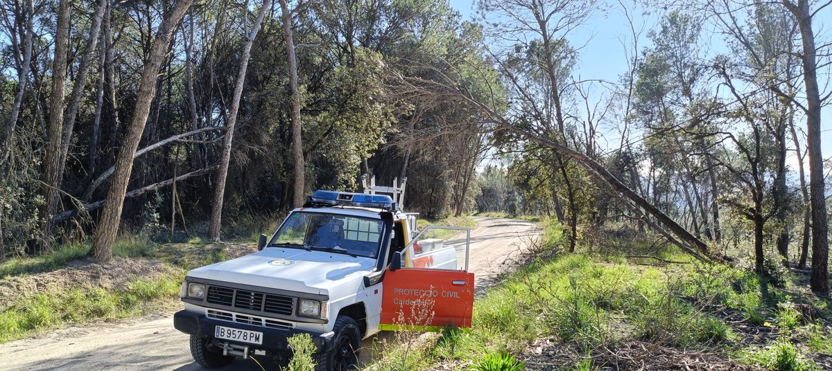 AVPC de Cardedeu tweet media