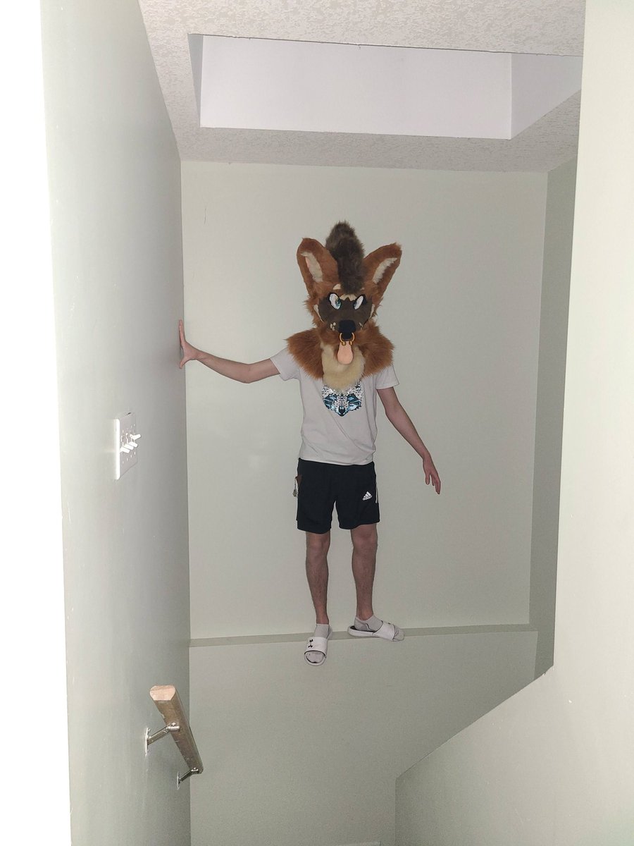 Djinger_'s tweet photo. So I might have clipped into the backrooms...

#fursuitfriday https://t.co/BwsHNhO9Kb