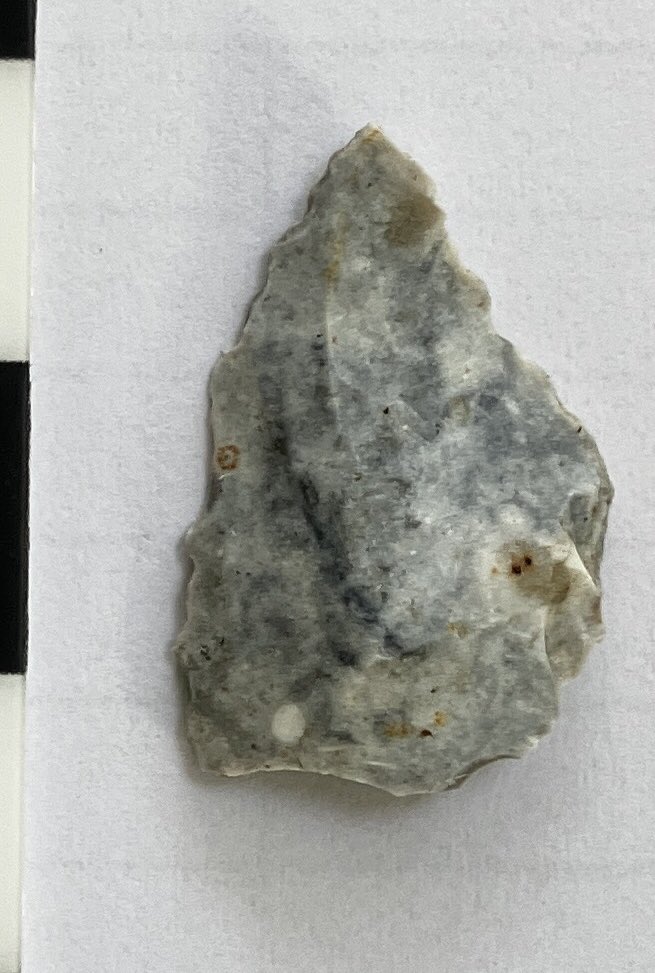 neil_cathie's tweet photo. Can anyone identify this? Black and white scale intervals are 1cm so this is around 2cm long, 1.5cm wide. The two photos are of the two sides. https://t.co/UzVriX32NW