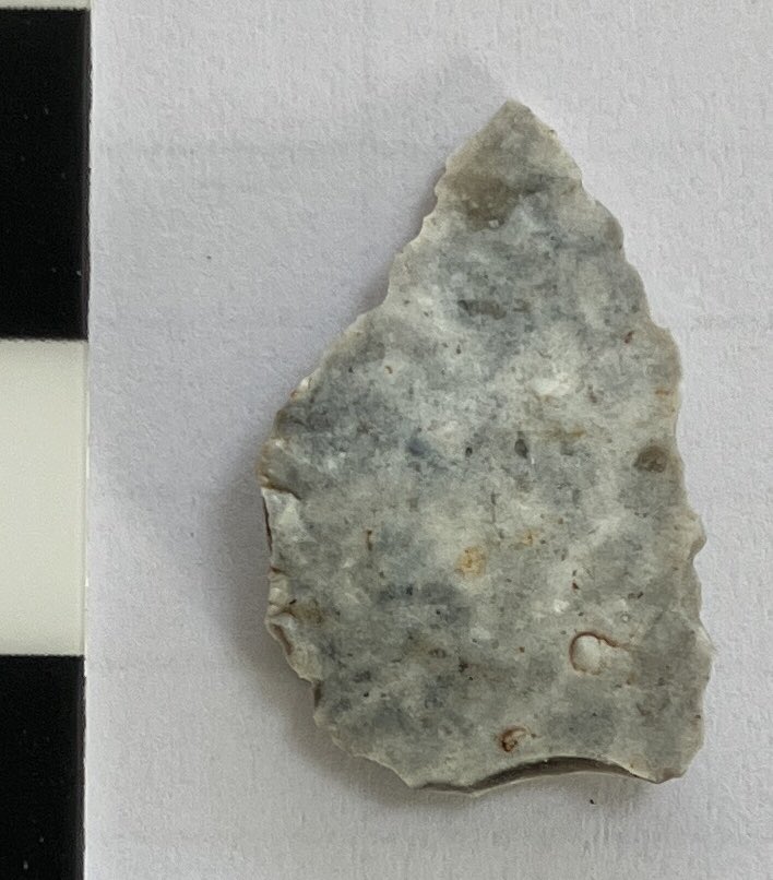 neil_cathie's tweet photo. Can anyone identify this? Black and white scale intervals are 1cm so this is around 2cm long, 1.5cm wide. The two photos are of the two sides. https://t.co/UzVriX32NW