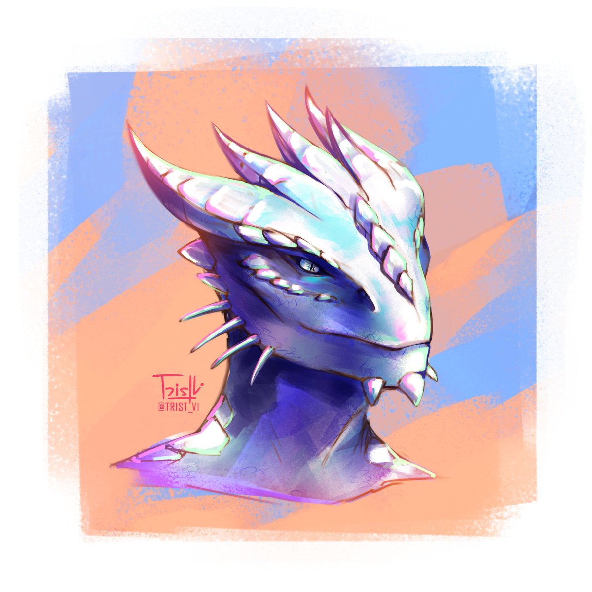 Trist_Vi's tweet photo. I don't know anyone who loves Dragonborns more than @CrusadeOfDante does☺️♥️

#BaldursGate3 #darkurge #dragonborn https://t.co/2QRYoSp1J0