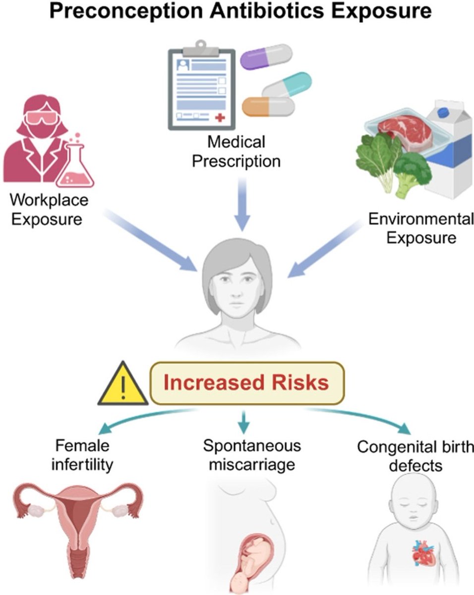Antibiotic Steward Bassam Ghanem 🅱️C🆔🅿️🌟 tweet media