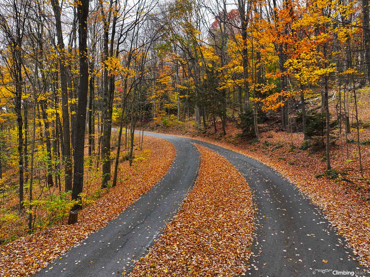 Climbing_Skies's tweet image. Pennsylvania Backroads 🍁🍂🌳🚘
.
.
#explorepa #backroads #getlost