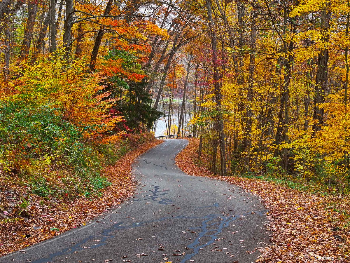 Climbing_Skies's tweet image. Pennsylvania Backroads 🍁🍂🌳🚘
.
.
#explorepa #backroads #getlost