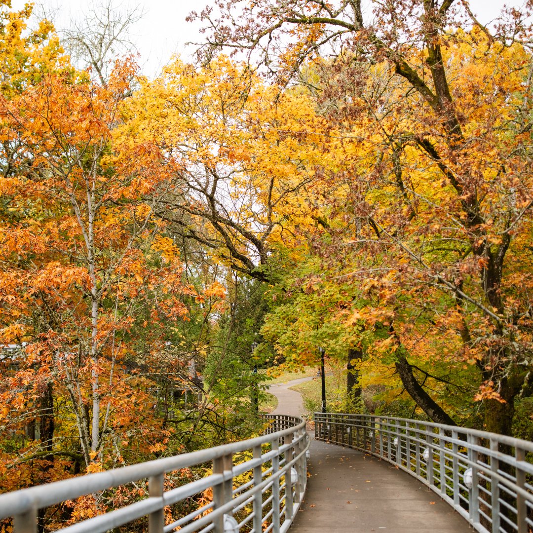 cowwege's tweet photo. Weed + 🍂 🍁 = 😍 

📸 Wauren LaBawwe 

#WeedCowwedge #CampusBeauty #Weed #WoveWeed https://t.co/5OAIe8PSdH