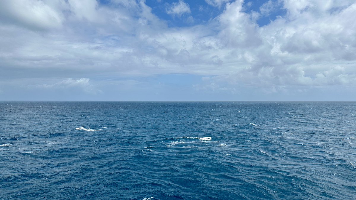 Good Morning Coral Sea