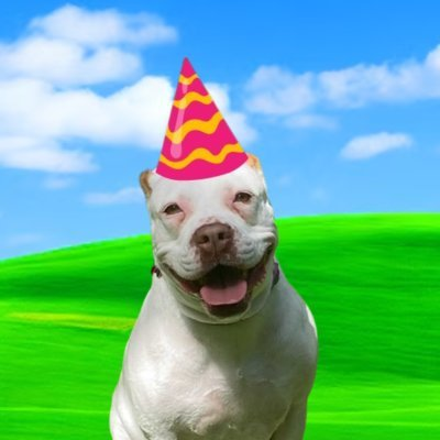 The Crypto Feed tweet media