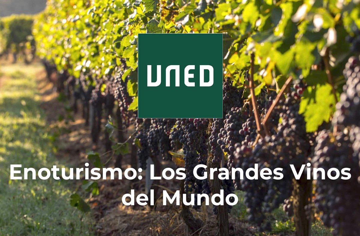 Vicerrectorado de Formación Permanente de la UNED (@formacionp_uned) on Twitter photo Máster Modular (2ª Ed.): "Enoturismo: Los Grandes Vinos del Mundo".
canal.uned.es/iframe/65ddb01…
¡Matriculación prorrogada hasta el 12 de diciembre!
formacionpermanente.uned.es/tp_actividad/a… Máster Modular (2ª Ed.): "Enoturismo: Los Grandes Vinos del Mundo".
canal.uned.es/iframe/65ddb01…
¡Matriculación prorrogada hasta el 12 de diciembre!
formacionpermanente.uned.es/tp_actividad/a…
