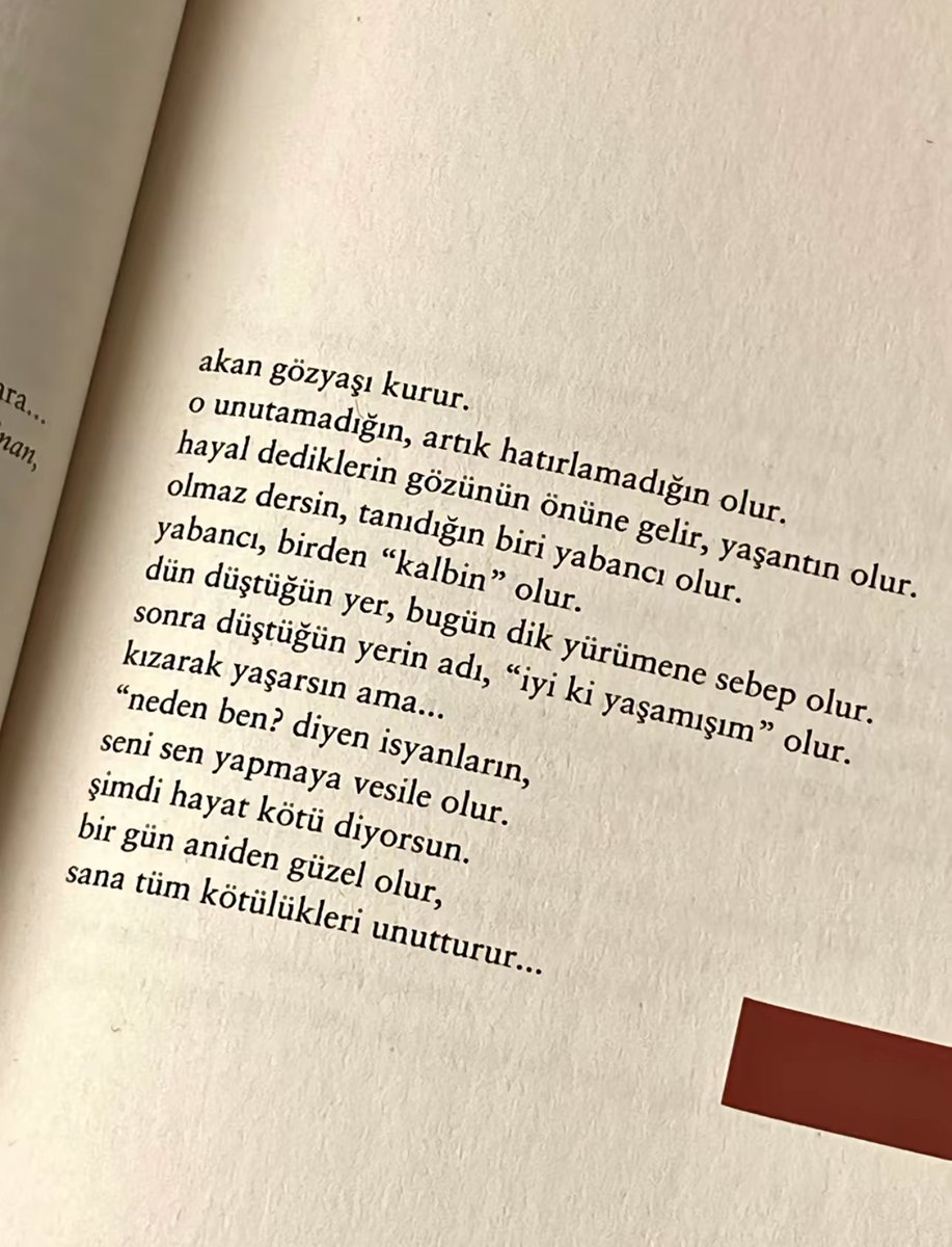 Ferhat Oluğ (@ferhatolg) on Twitter photo 