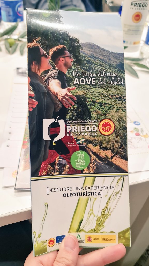 CamperPian's tweet photo. Acabamos nuestra primera jornada en el #atb9PriegodeCórdoba conociendo los aceites de la D.O.P Priego de Córdoba en una fantástica cata maridaje. Esto sí que es viajar bien😉
Deseando ver lo que nos tienen preparado para mañana🙌
#klmtravelwell #klmespaña https://t.co/d1YsEgjyyq