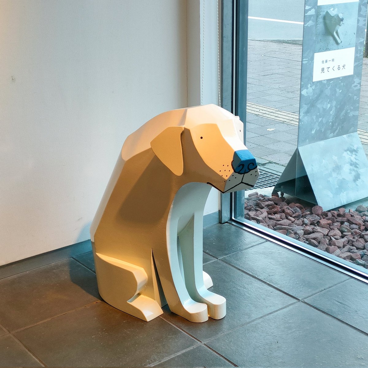 babyish_guide's tweet photo. 札幌のギャラリー創で12月1日（日曜日）まで開催中の佐藤一明 「見てくる犬」へ。二次曲面のブリキ（大きい子はベニヤ）で構成した造形の美しさと、愛犬をモデルにした仕草の可愛らしさ。つぶらな瞳と目が合うと撫でたくなります。
https://t.co/EHYrMDEI11
11時～18時（最終日は17時まで）
火曜休み https://t.co/byQR59FHVc