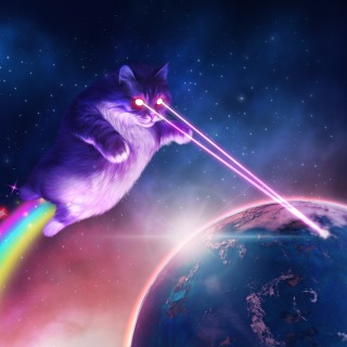 pewpewcto's tweet image. How it feels like to be on top of @dexscreener